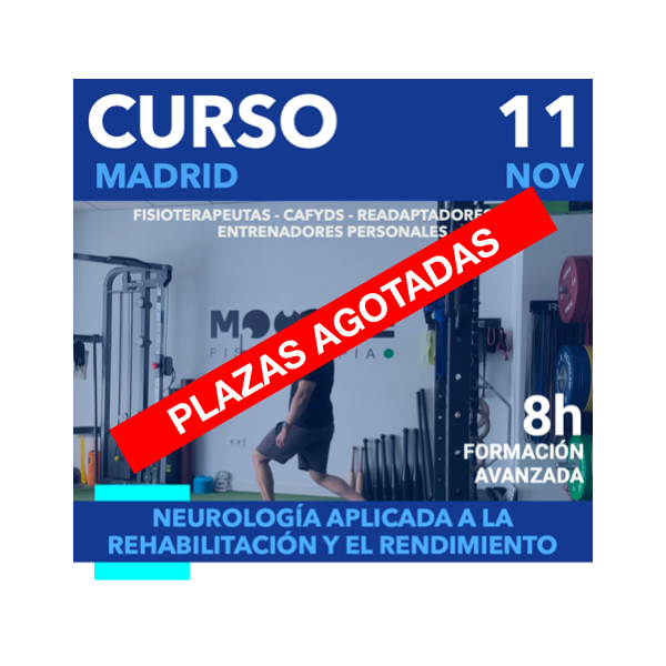 CURSO: NEUROLOGIA APLICADA + Pack Sticks Visuales /  11NOV (Madrid)